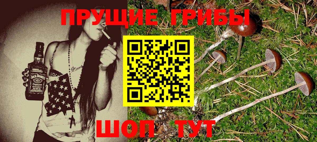 Луховицы  где купить наркоту  Галлюциногенные грибы Psilocybe  Вход с VPN  Галлюциногенные грибы Psilocybine cubensis 